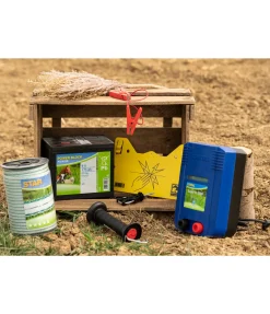 Ruban large Star Class DeLuxe, 200 m / 12 mm