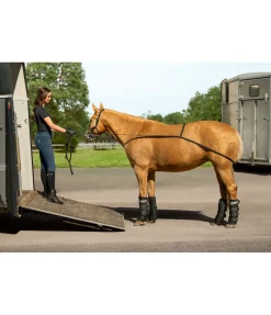 Sangle d'embarquement Quick