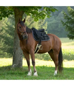 Selle légère Freemax