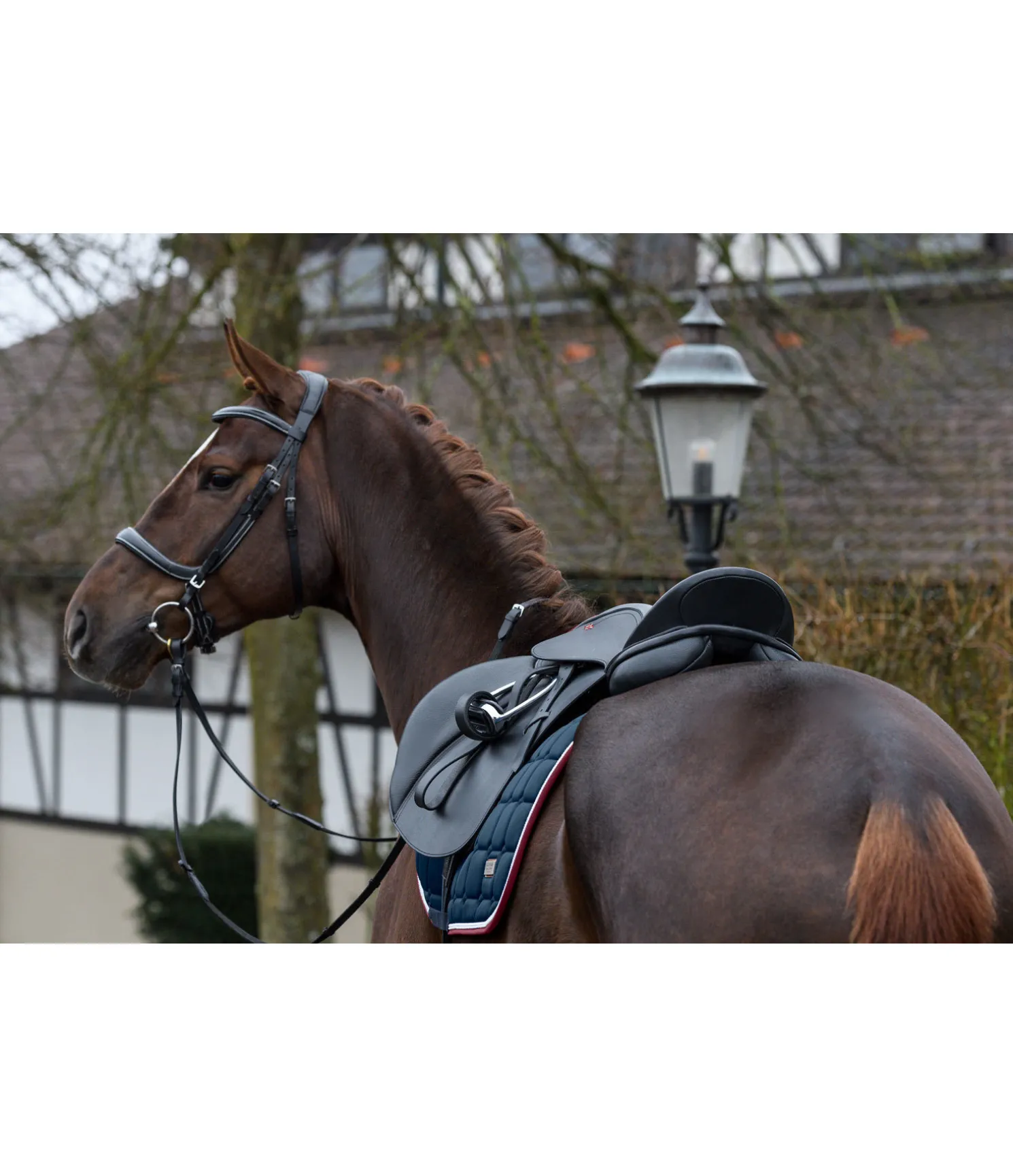 Selle mixte New Generation