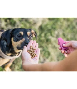 Sifflet combiné avec clicker