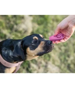 Sifflet combiné avec clicker