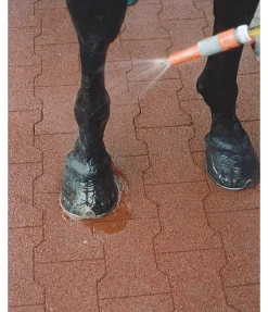 Tapis de paddock, aspect pavé