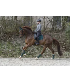 Tapis de selle Basic