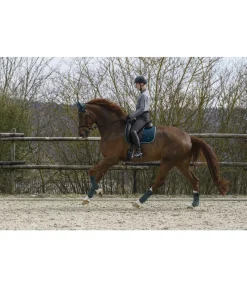 Tapis de selle Basic