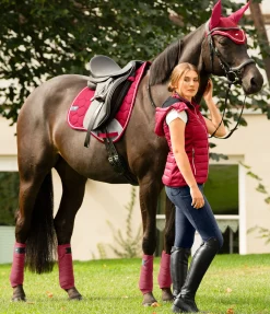 Tapis de selle Basic Pro