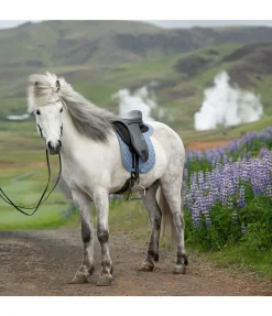 Tapis de selle Héla