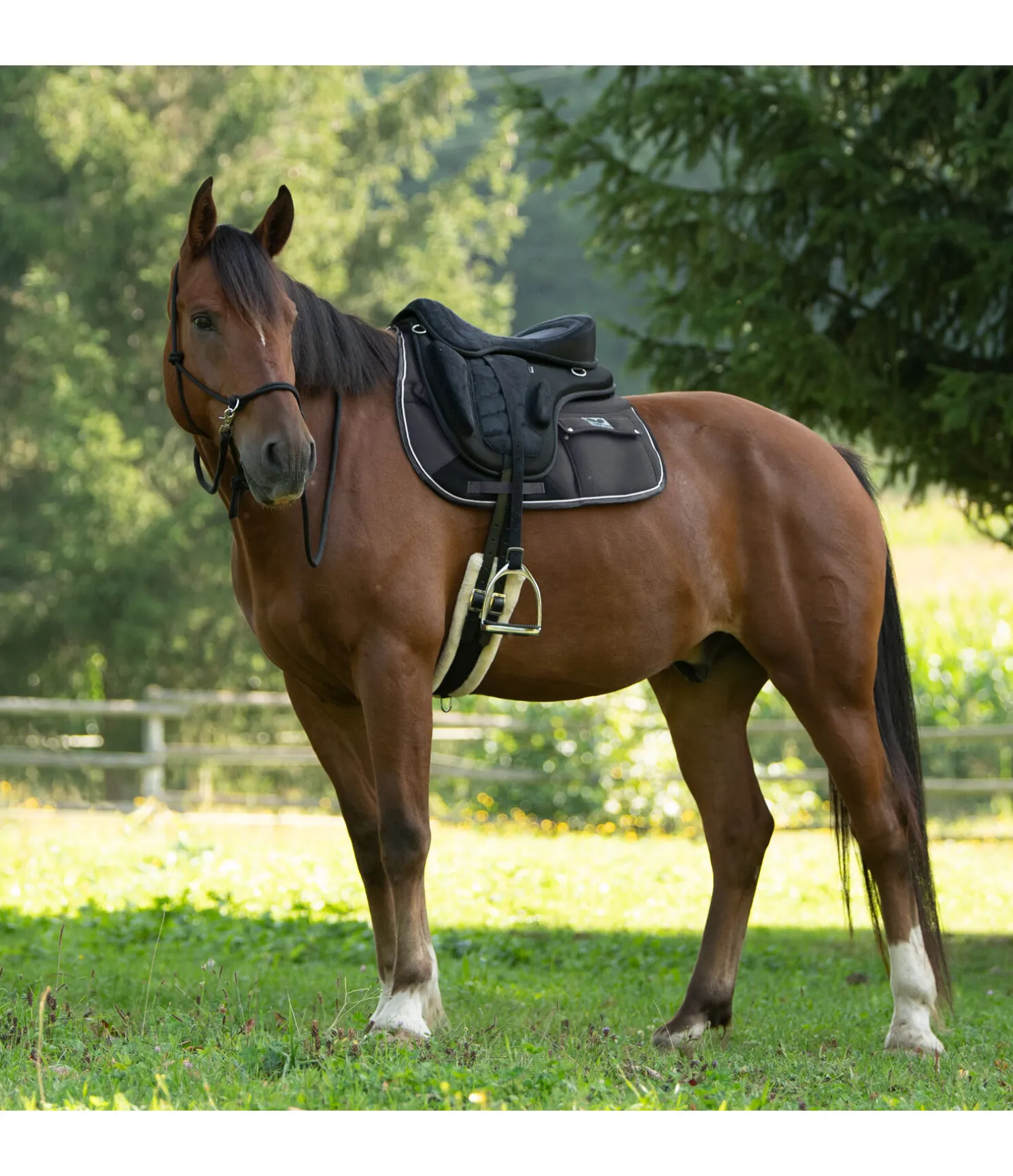 Tapis de selle de randonnée respirant
