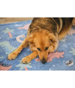 Tapis pour chien Glow in the Dark