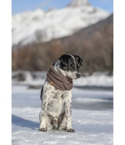Tour de cou en tricot pour chien Espi