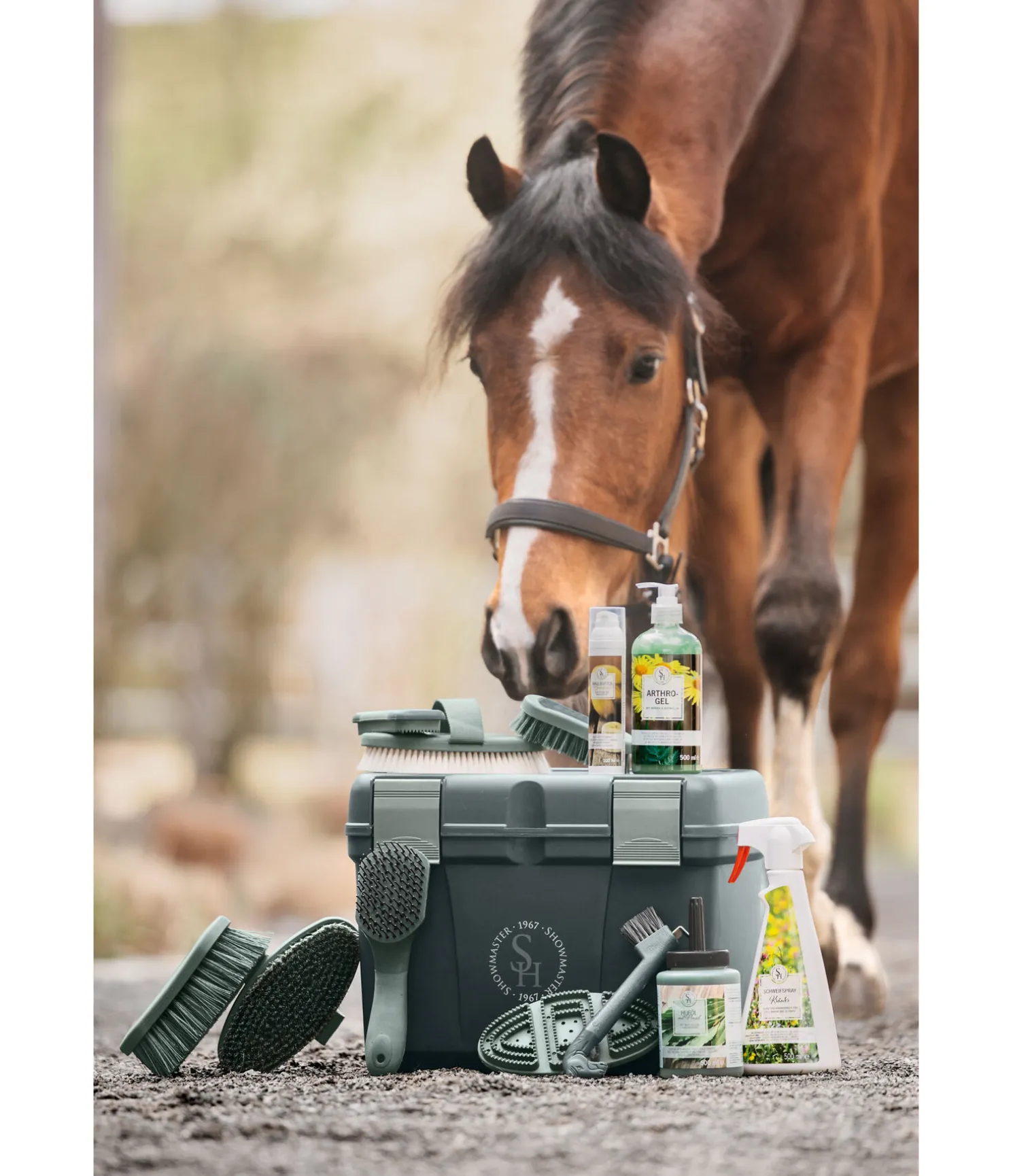 Étrille à picots Soft