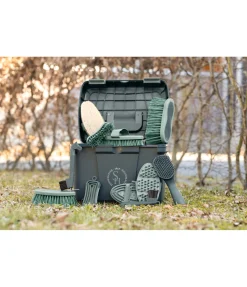 Étrille de tête Scratchy